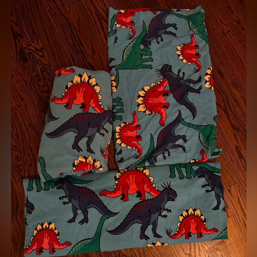 Dinosaur Twin Size Fleece Sheets Like New